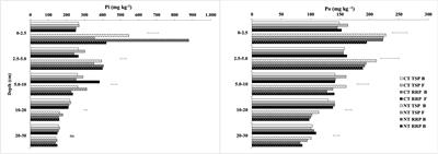 Distribution of Soil Phosphorus Fractions as a Function of Long-Term Soil Tillage and Phosphate Fertilization Management